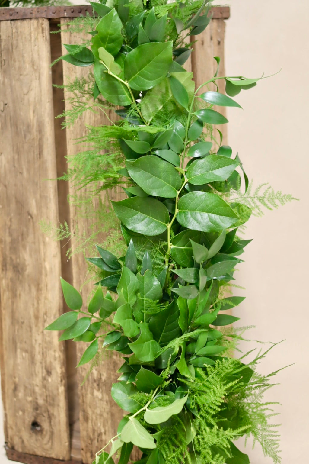 Salal Plumosa Nagi Garland