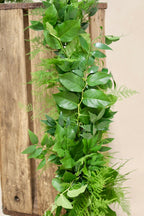 Salal Plumosa Nagi Garland