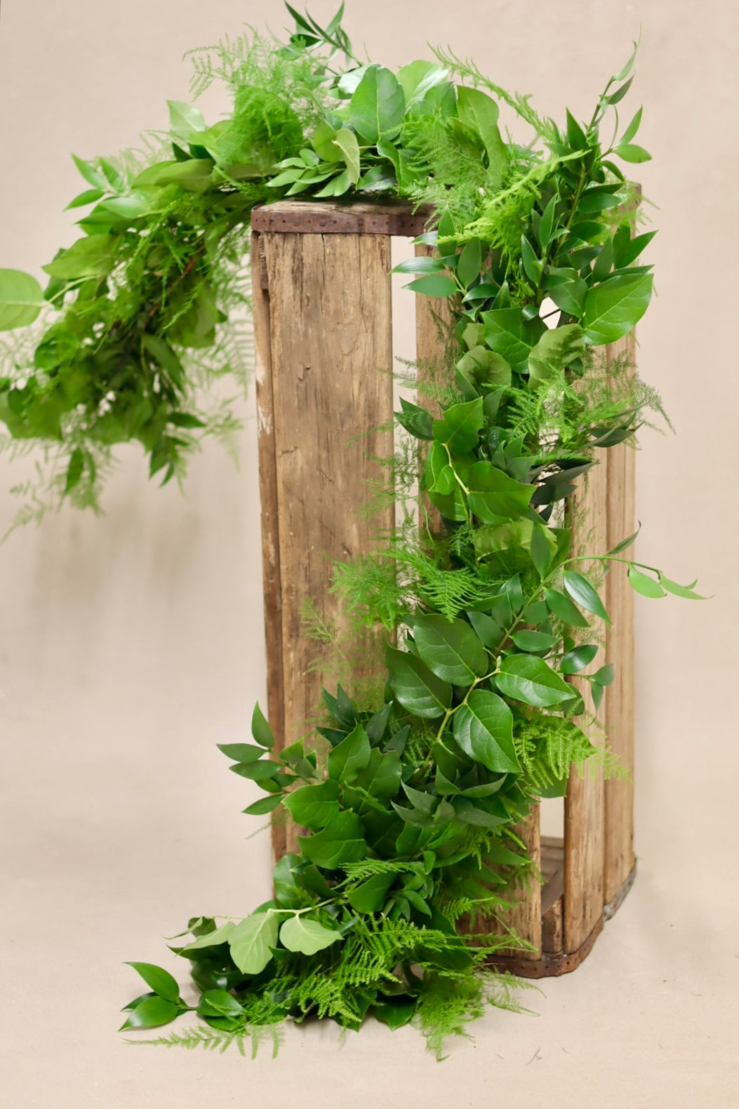 Salal Plumosa Nagi Garland