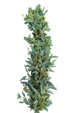 Seeded Eucalyptus Garland
