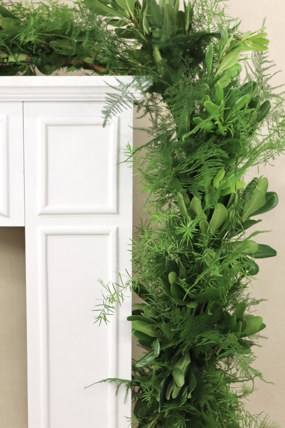 Springeri Plumosa Green Pittosporum Garland
