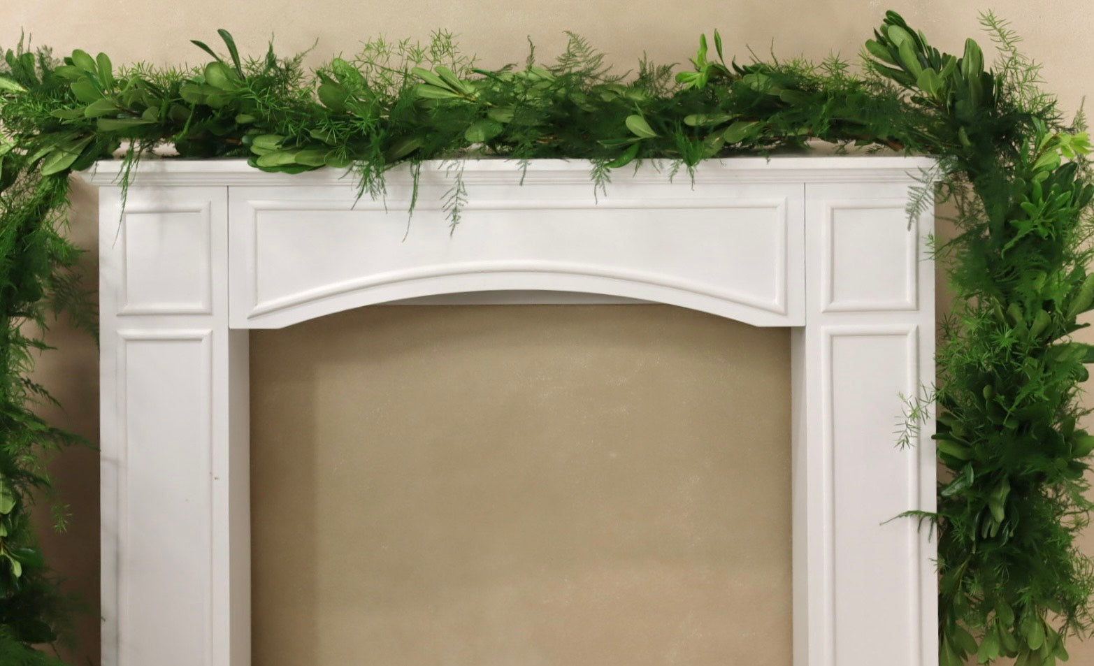 Springeri Plumosa Green Pittosporum Garland