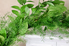 Springeri Israeli Ruscus Salal Garland