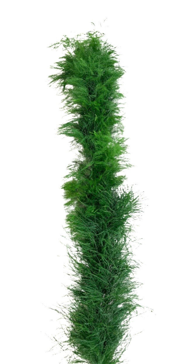Tree Fern Garland