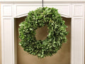 Variegated Pittosporum Wreath