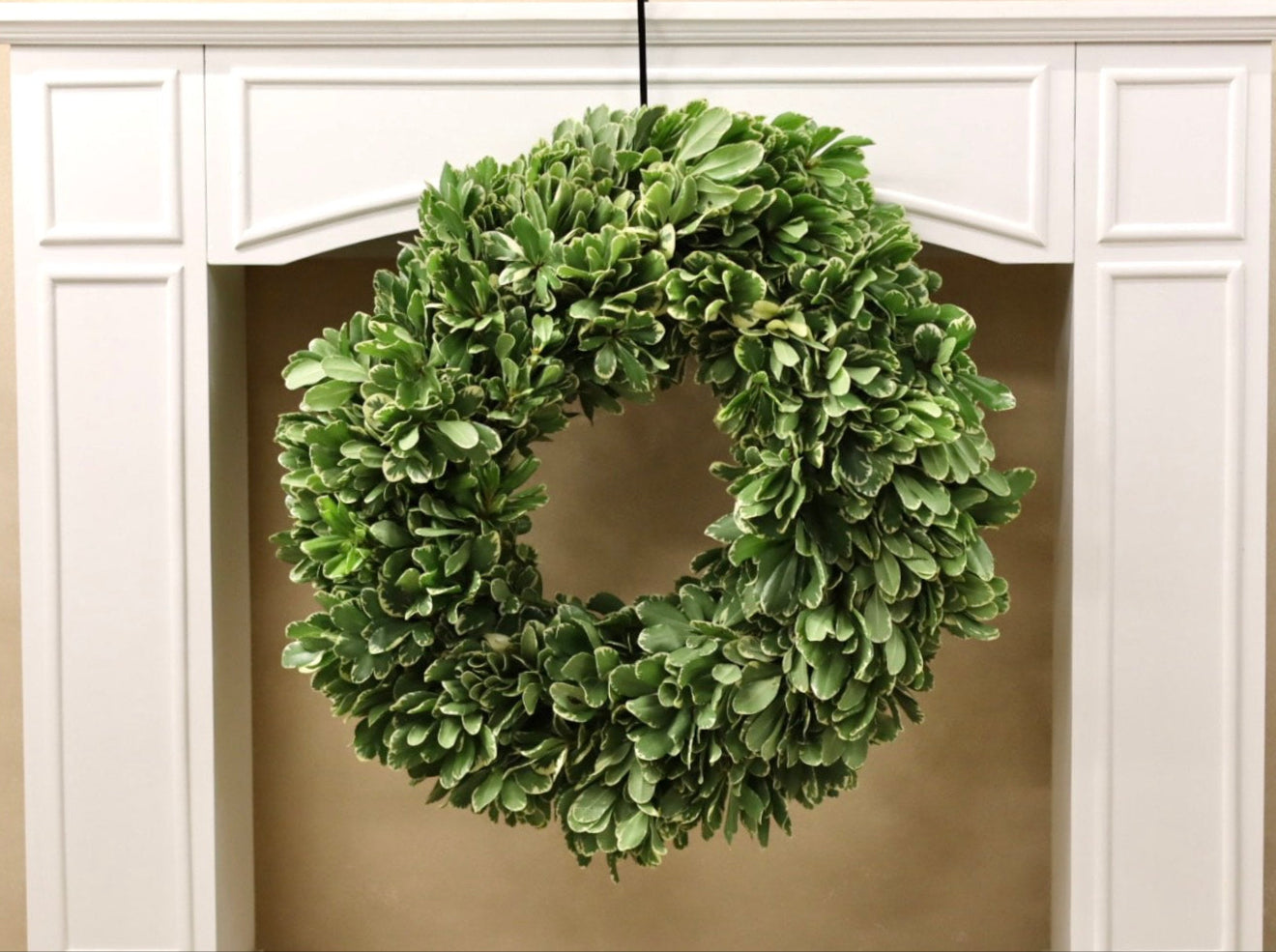 Variegated Pittosporum Wreath