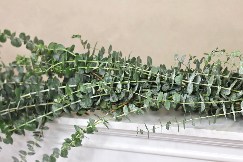 Baby Blue Eucalyptus Garland