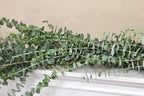 Baby Blue Eucalyptus Garland