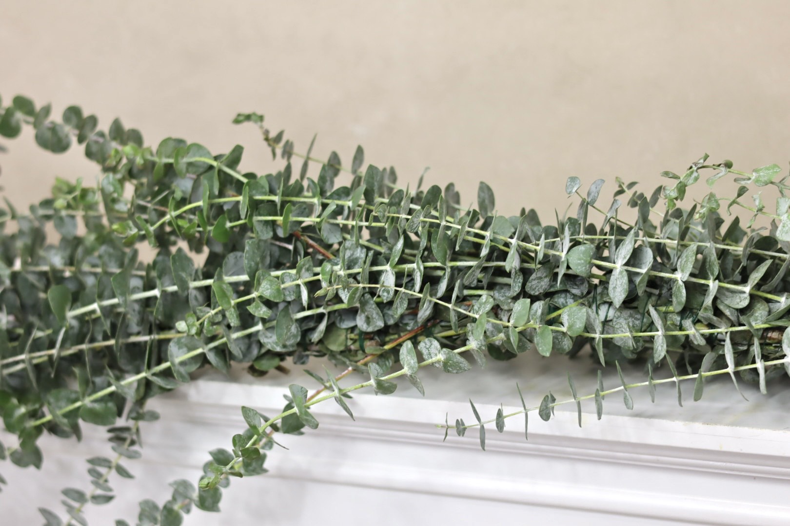 Baby Blue Eucalyptus Garland