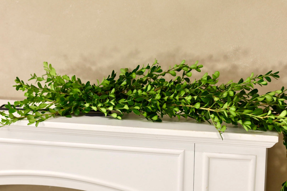 Boxwood Christmas Garland