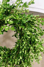 Boxwood Wreath