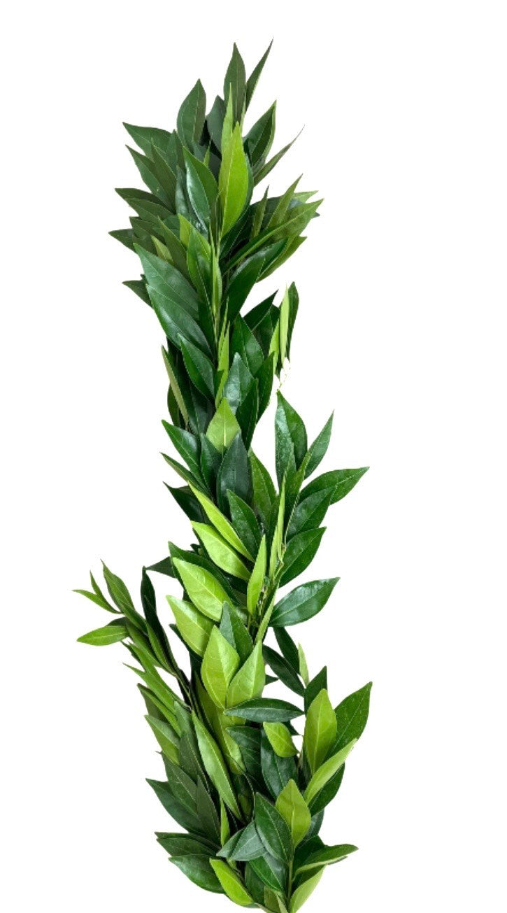 Cocculus Garland