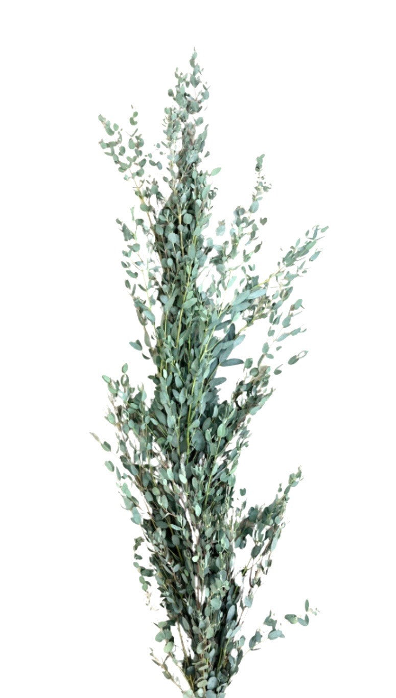 Gunni Eucalyptus Garland