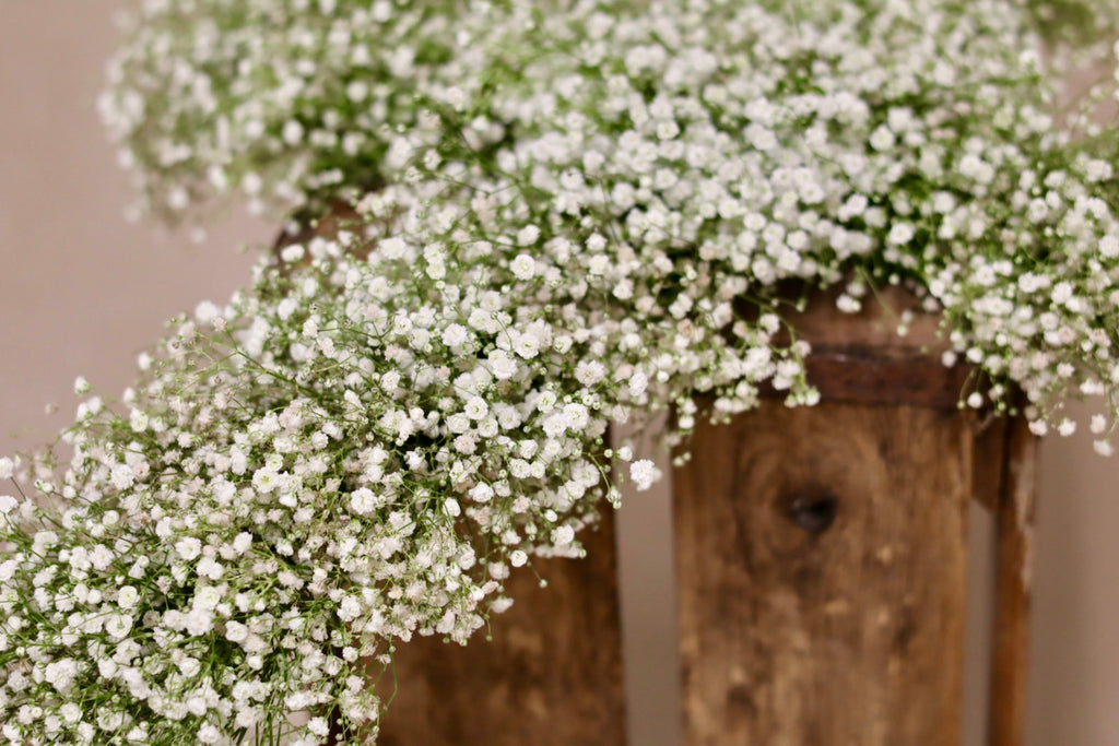 Babies Breath Cross Wreath