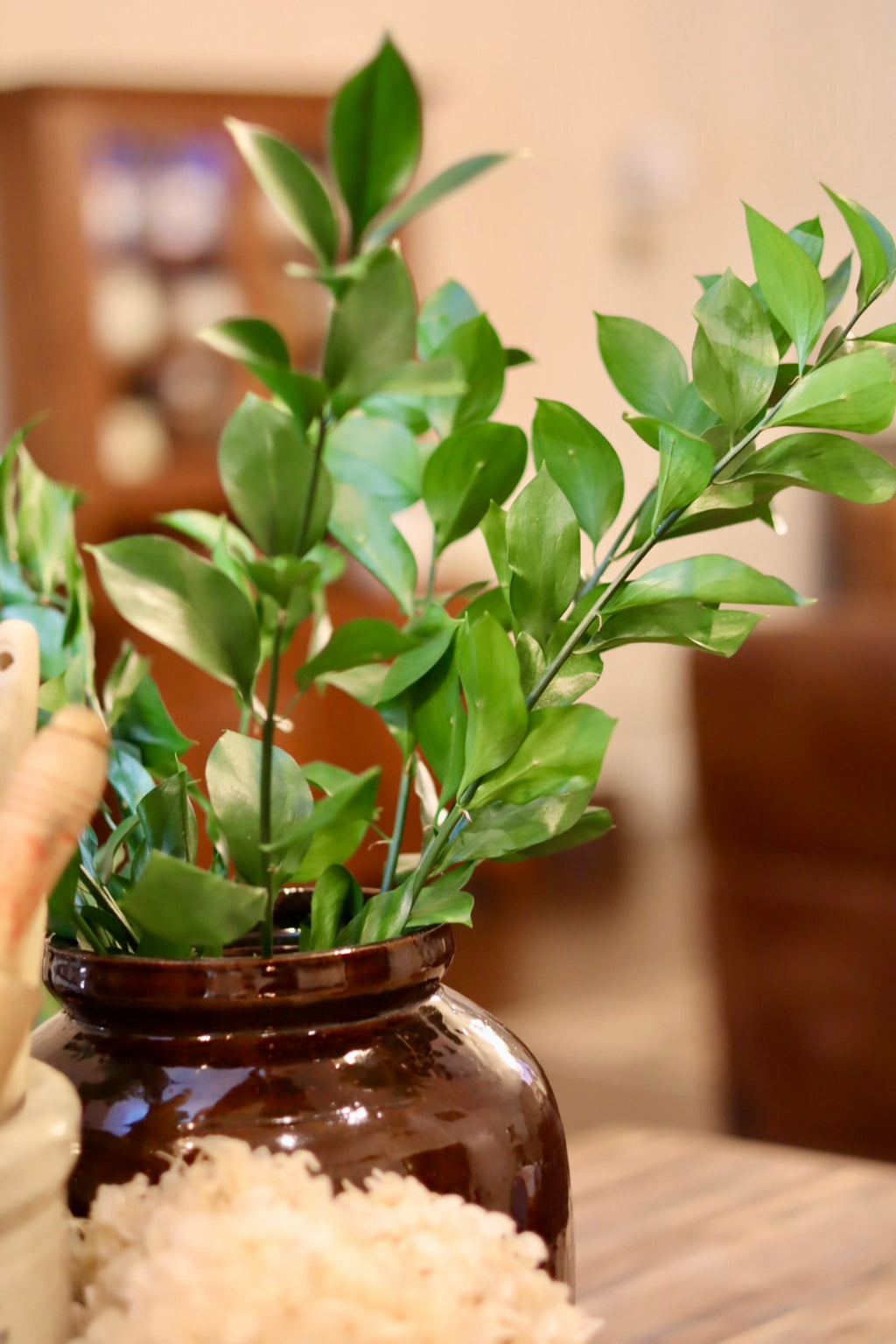 Israeli Ruscus