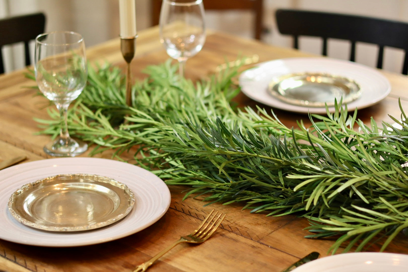 Podocarpus Maci Garland