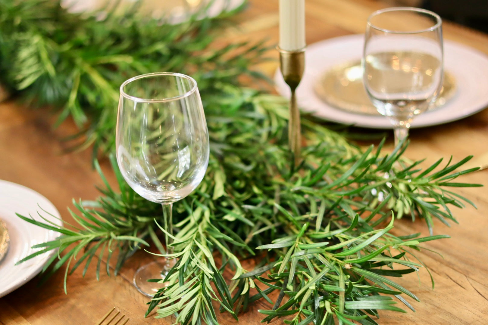 Podocarpus Maci Garland