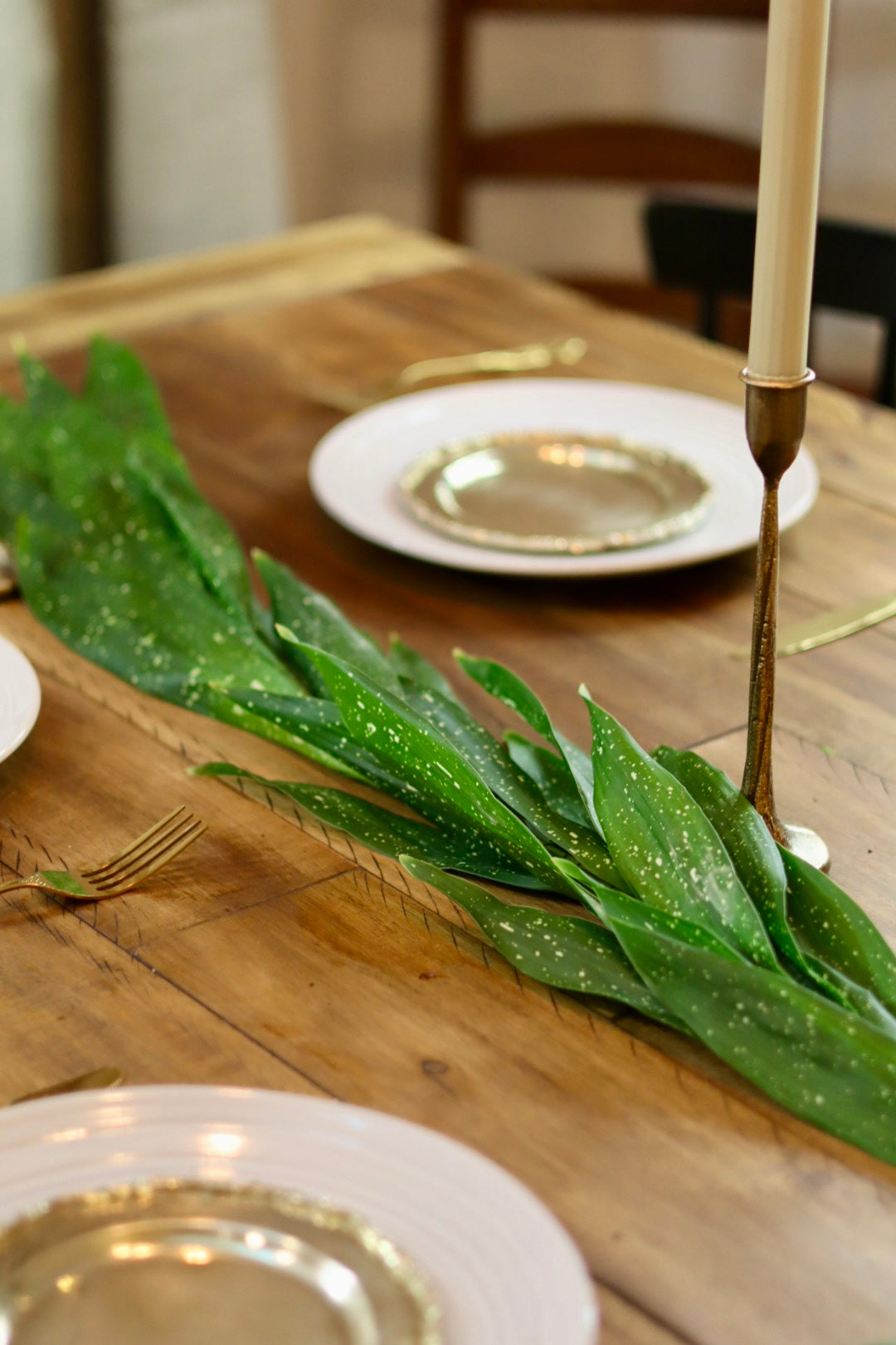 Milkyway Aspidistra Garland