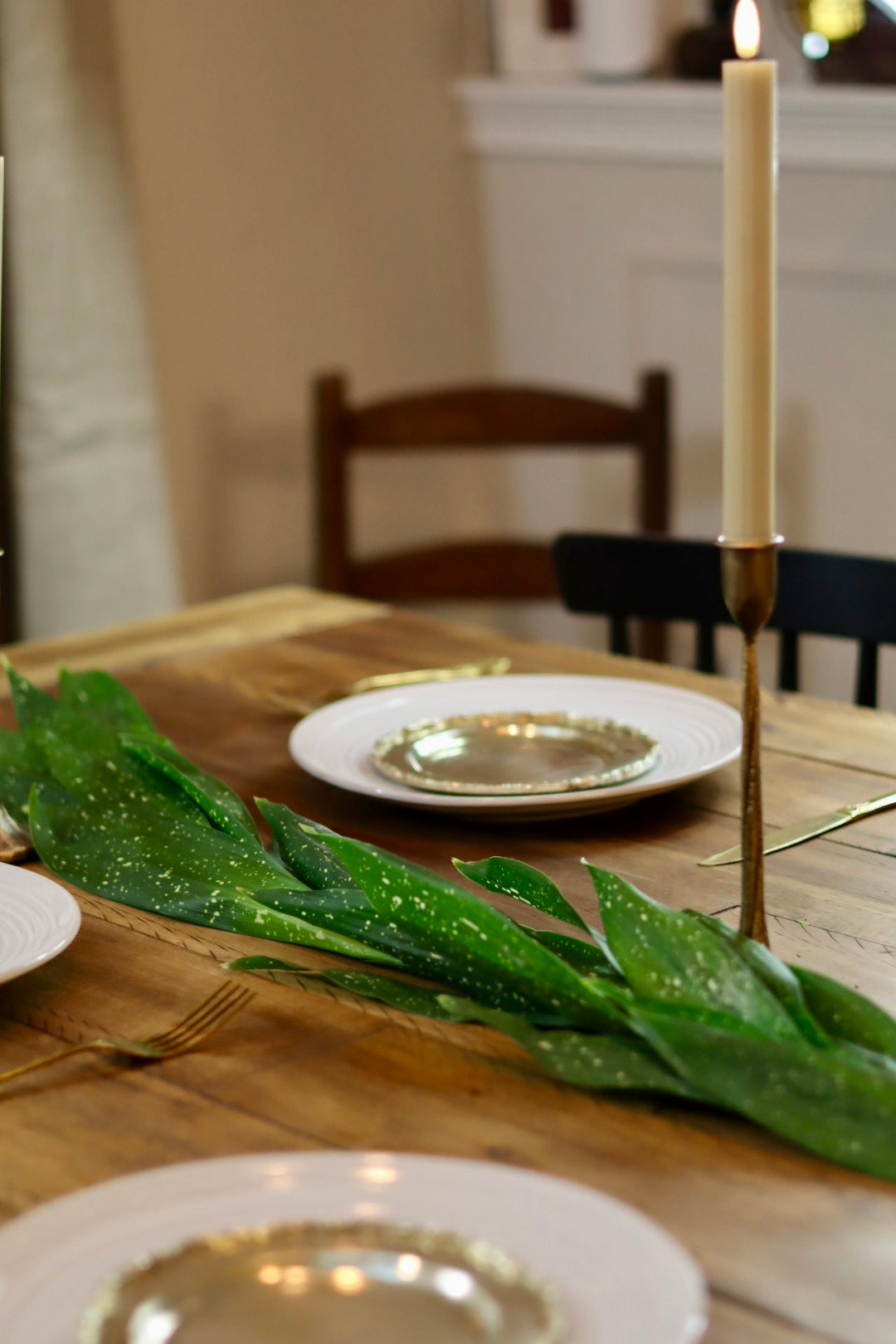 Milkyway Aspidistra Garland