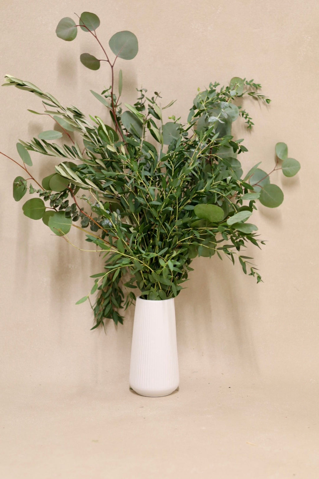 Mixed Eucalyptus Mix