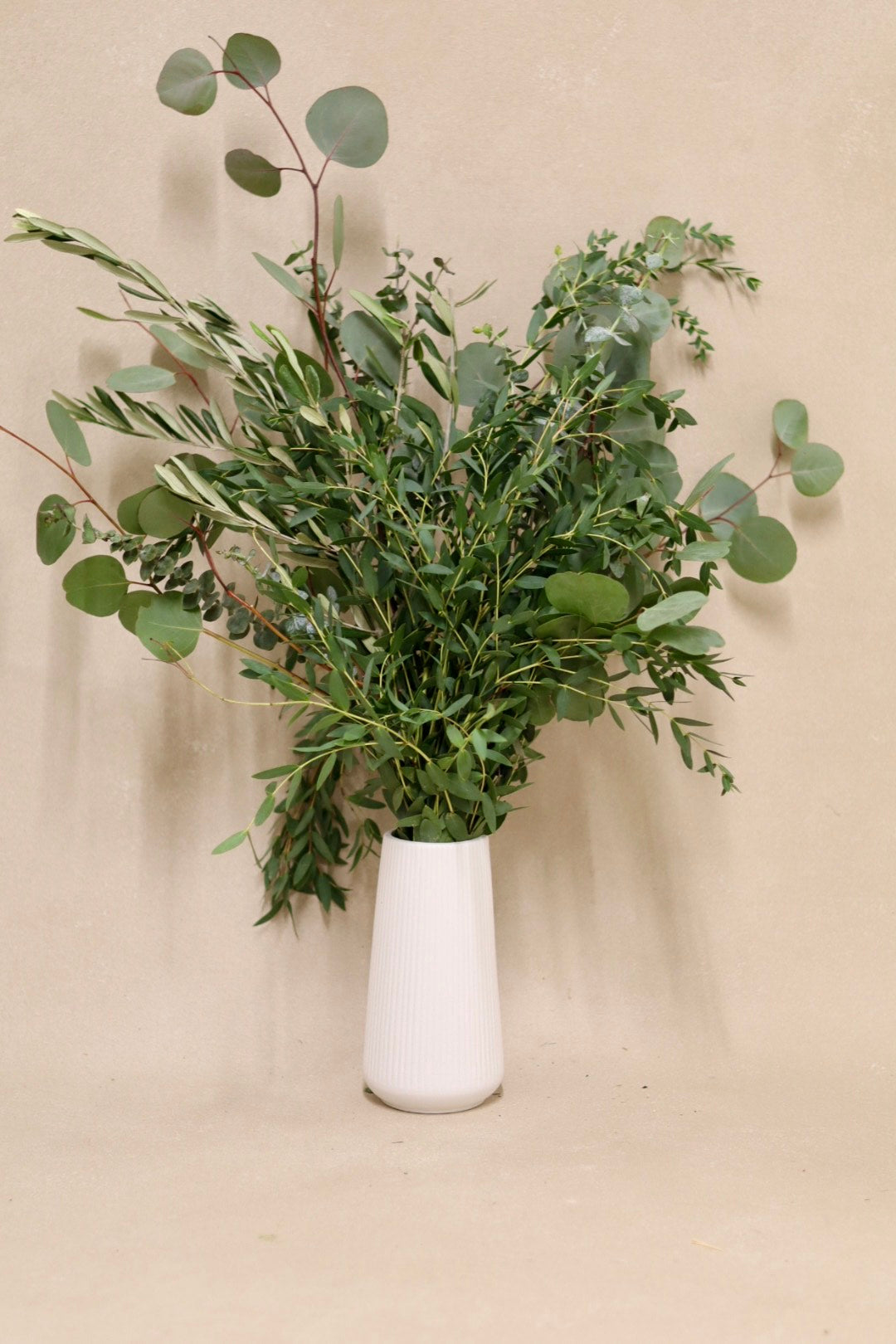 Mixed Eucalyptus Mix