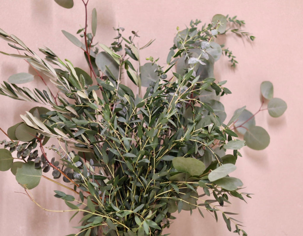 Mixed Eucalyptus Mix