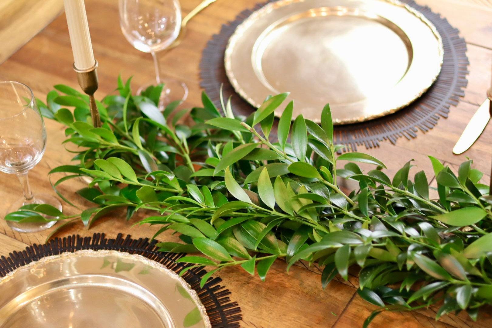 Podocarpus Nagi Garland