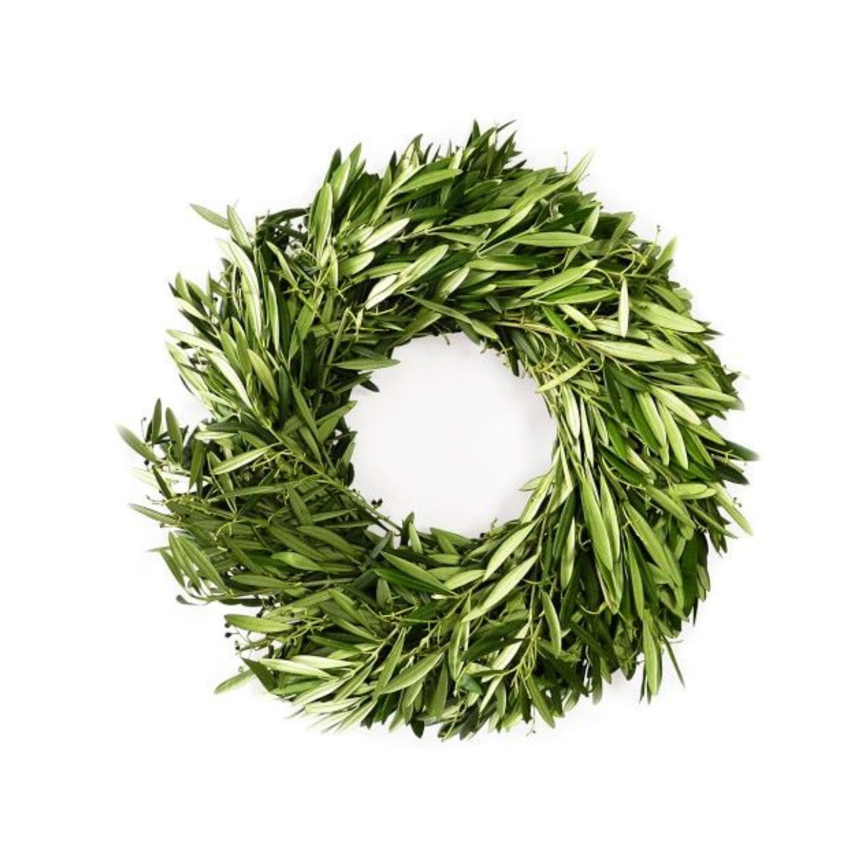 Olive Wreath