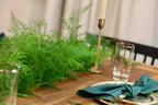 Plumosa Garland