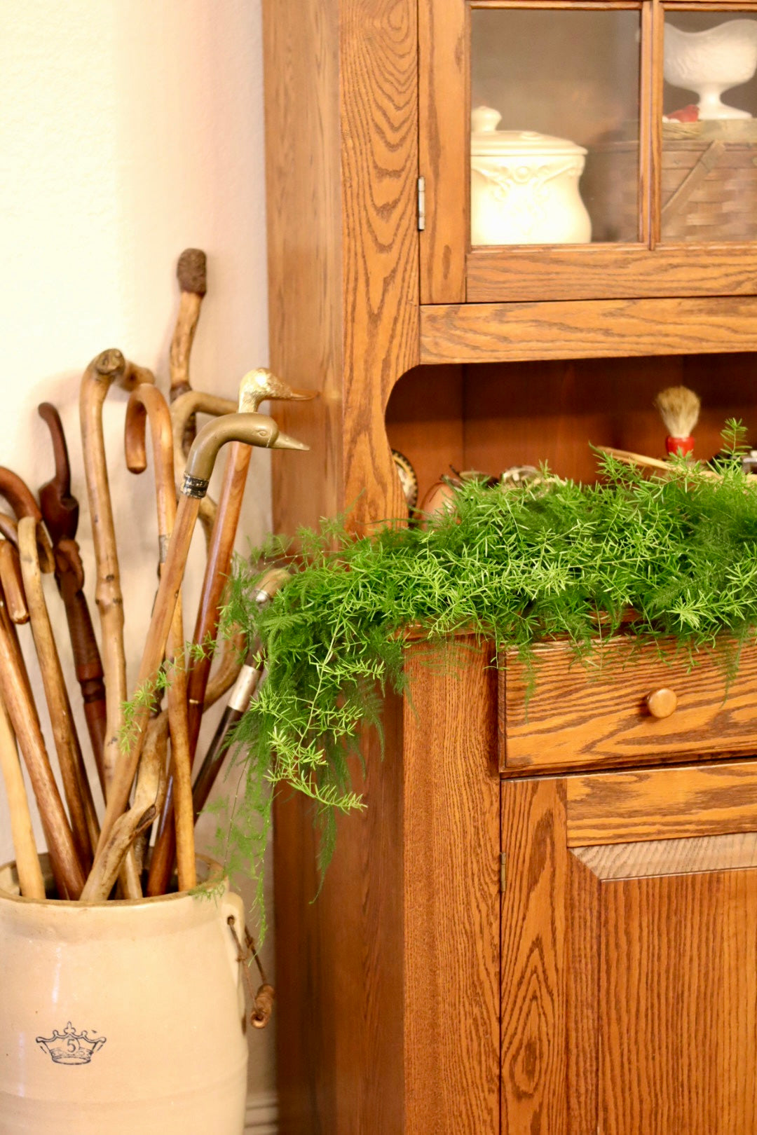 Plumosa and Springeri Garland