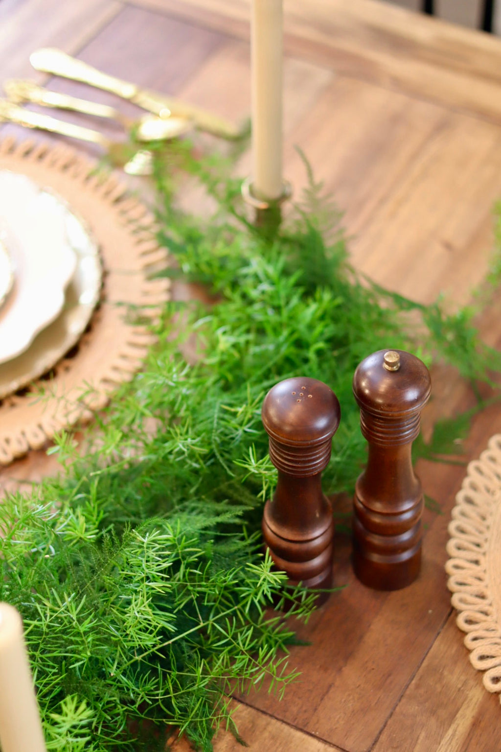 Plumosa and Springeri Garland