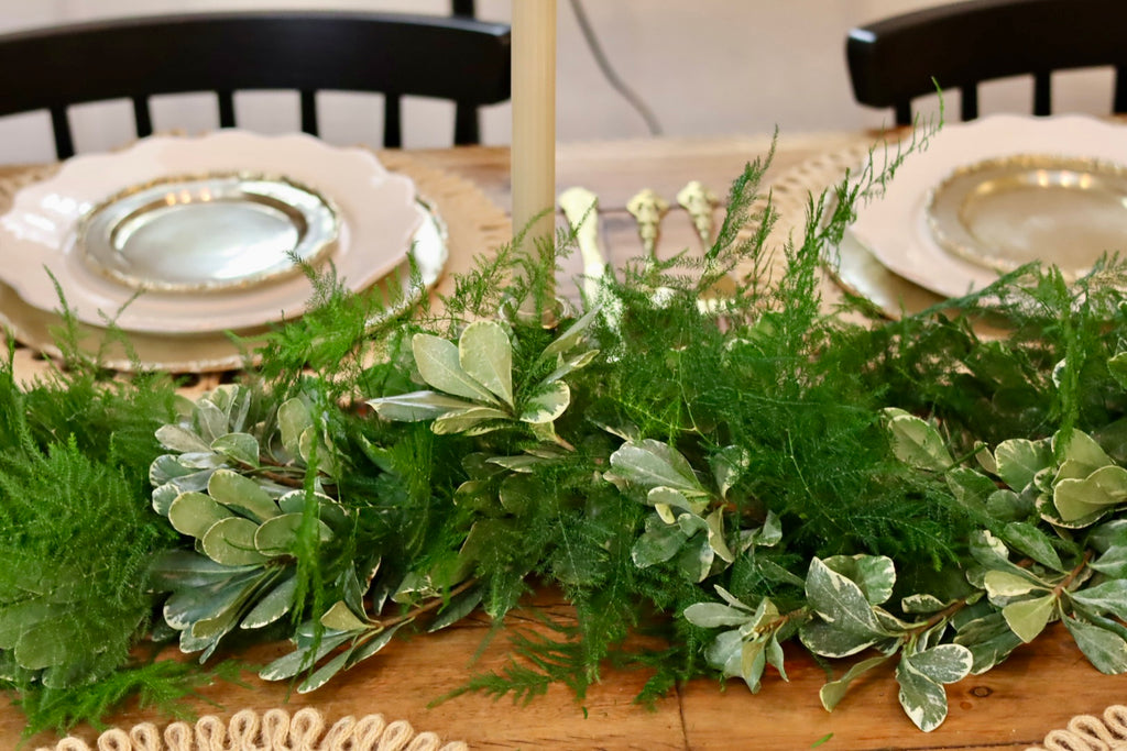 Plumosa Variegated Pittosporum Garland