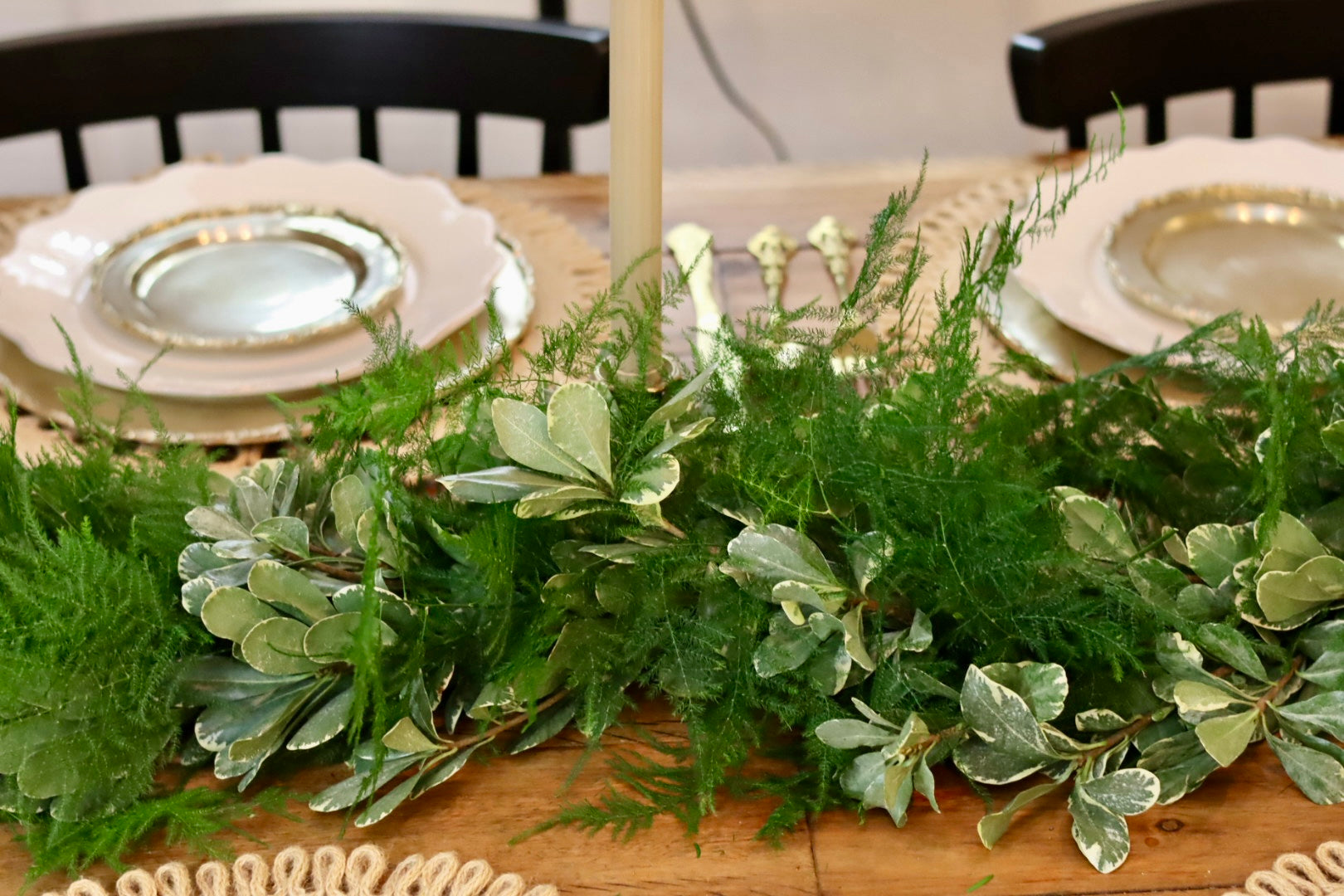 Plumosa Variegated Pittosporum Garland