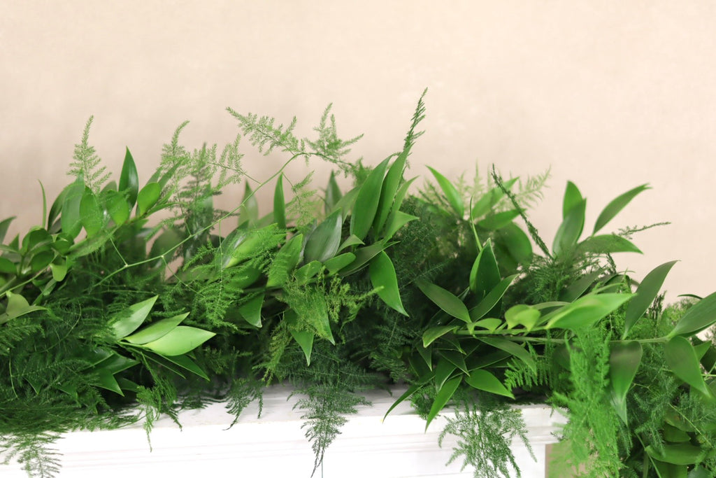 Plumosa Nagi  Italian Ruscus Garland