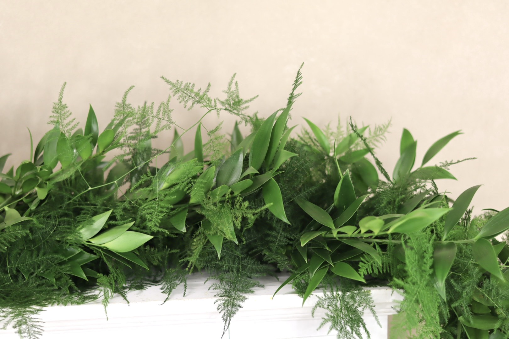 Plumosa Nagi  Italian Ruscus Garland