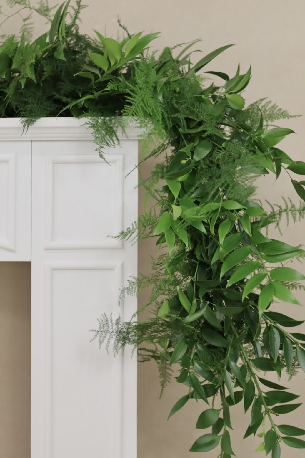 Plumosa Nagi  Italian Ruscus Garland