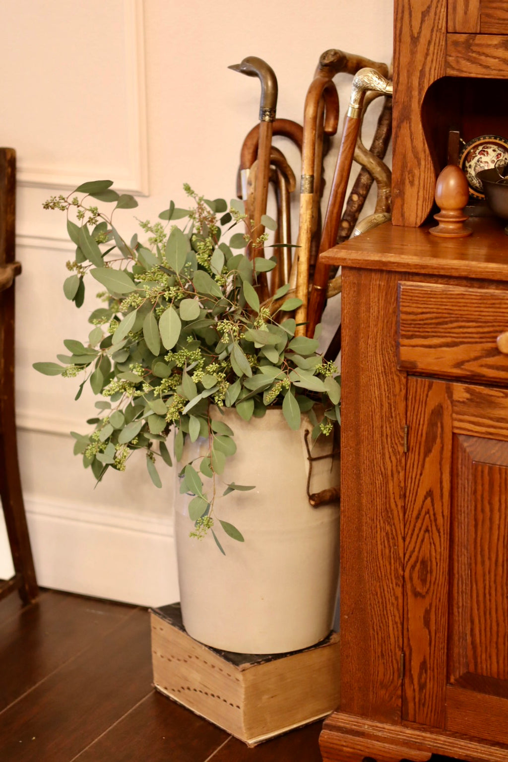 Seeded Eucalyptus