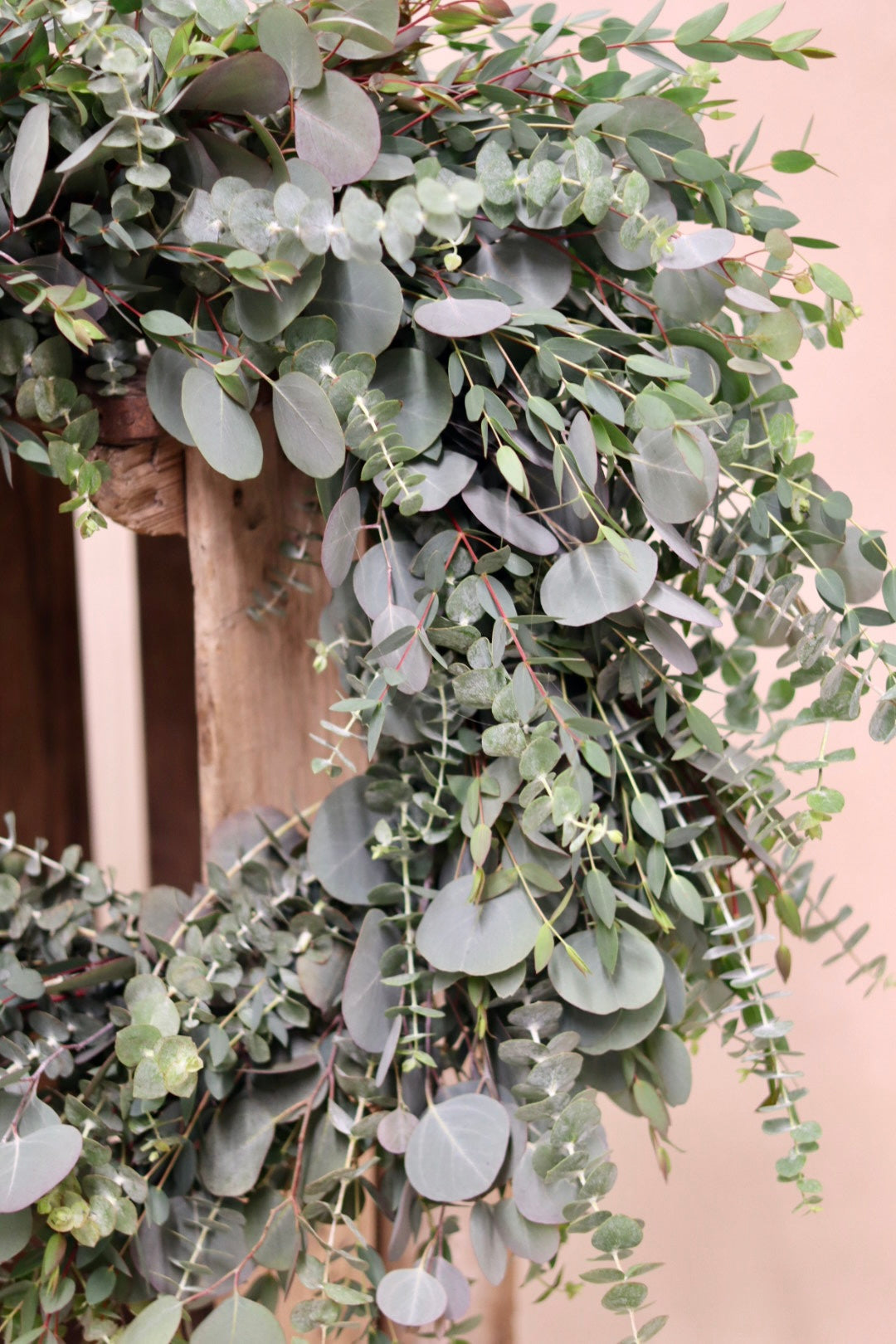 Mixed Eucalyptus Wreath
