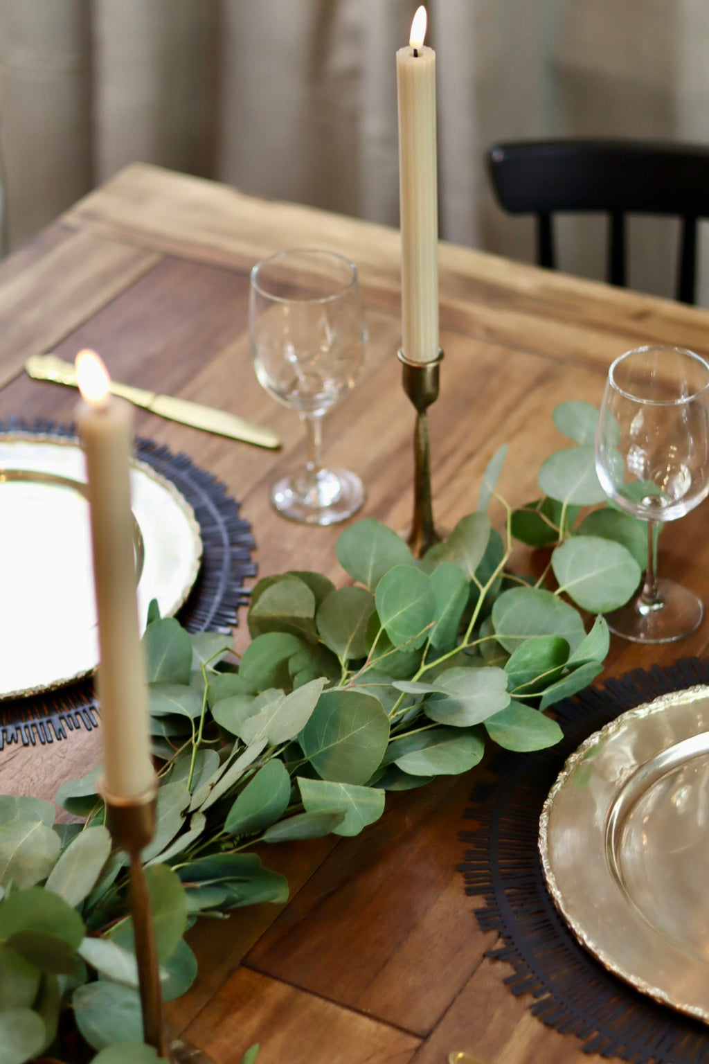 Silver Dollar Eucalyptus