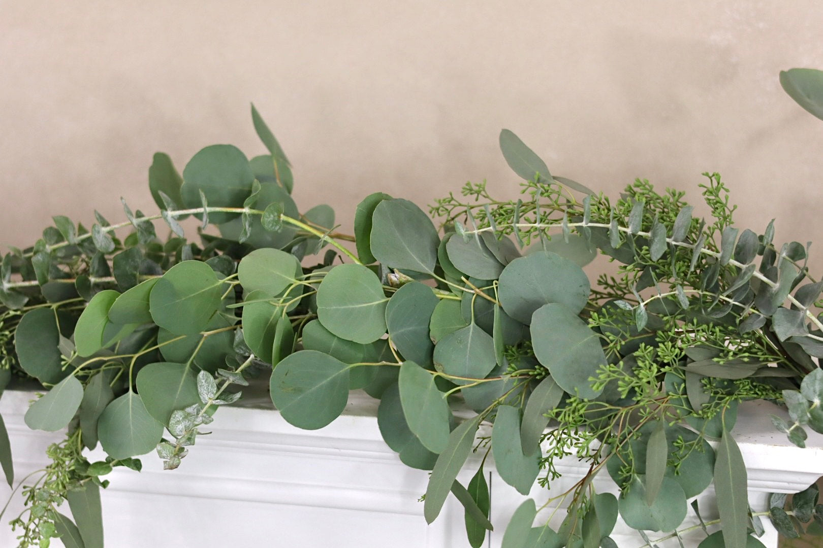Silver Dollar Seeded Eucalyptus Baby Blue Eucalyptus Garland