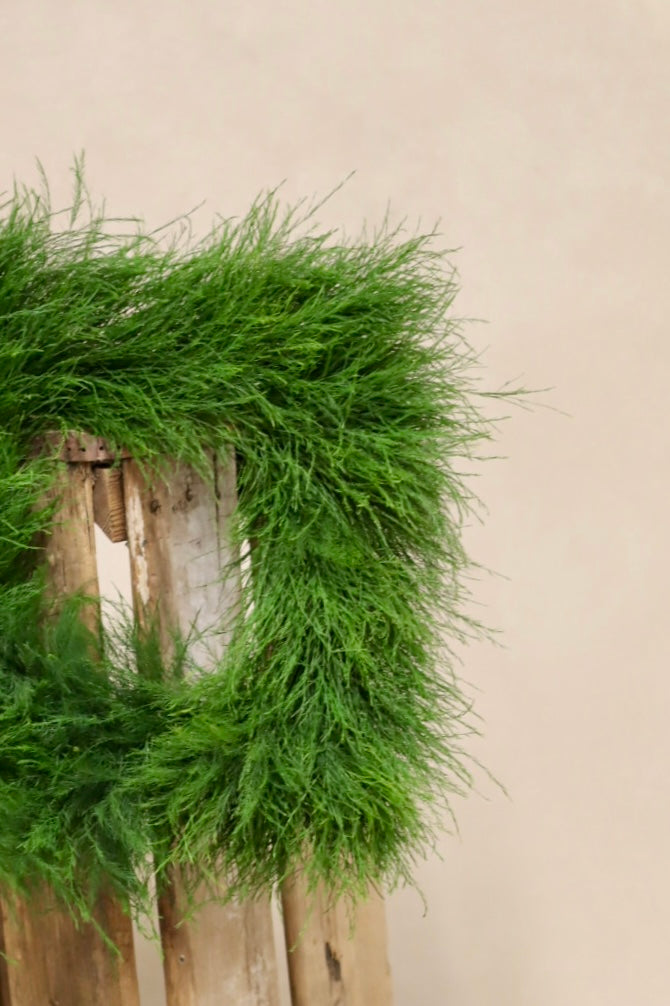 Tree Fern Square Wreath