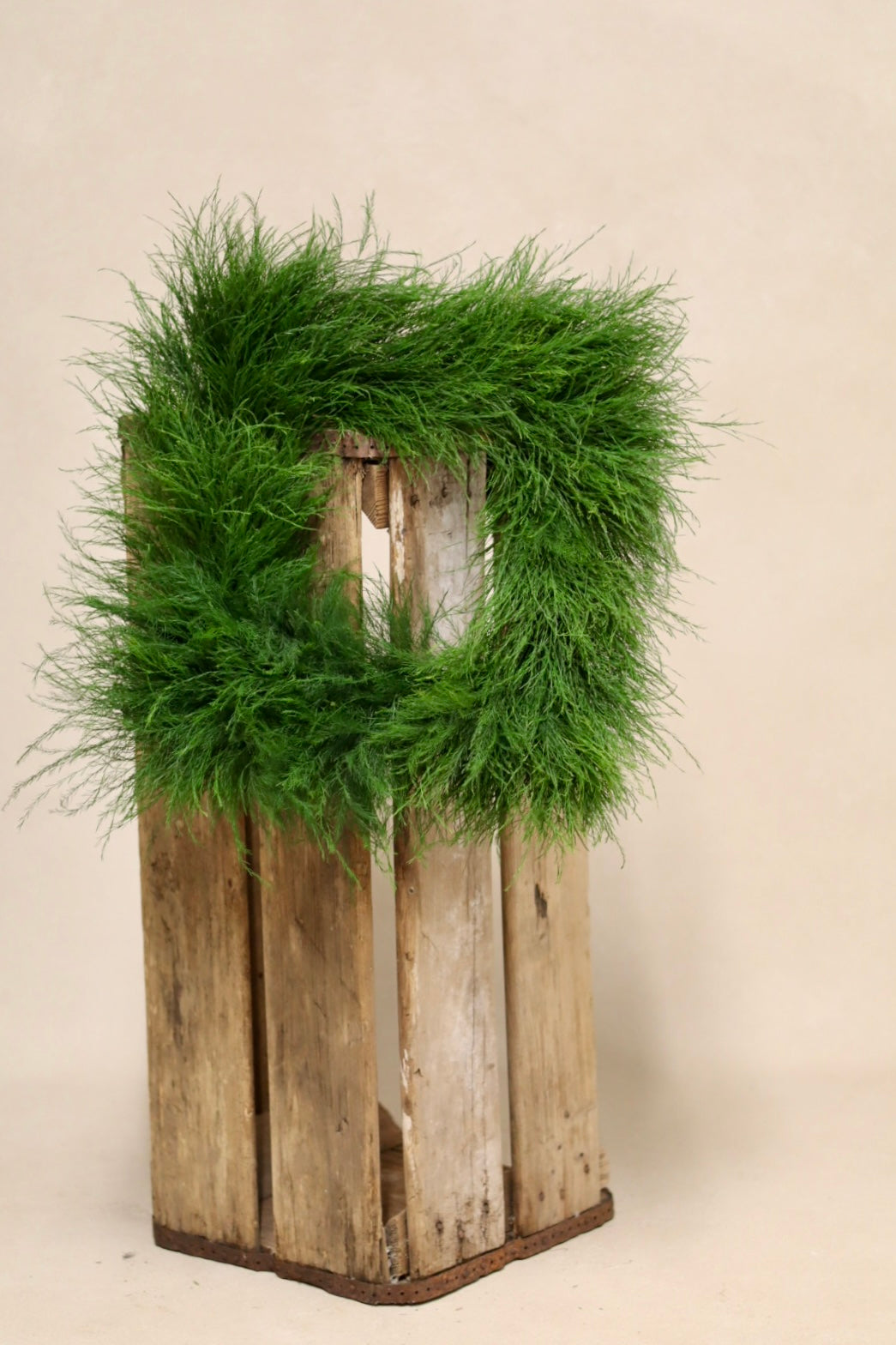 Tree Fern Square Wreath