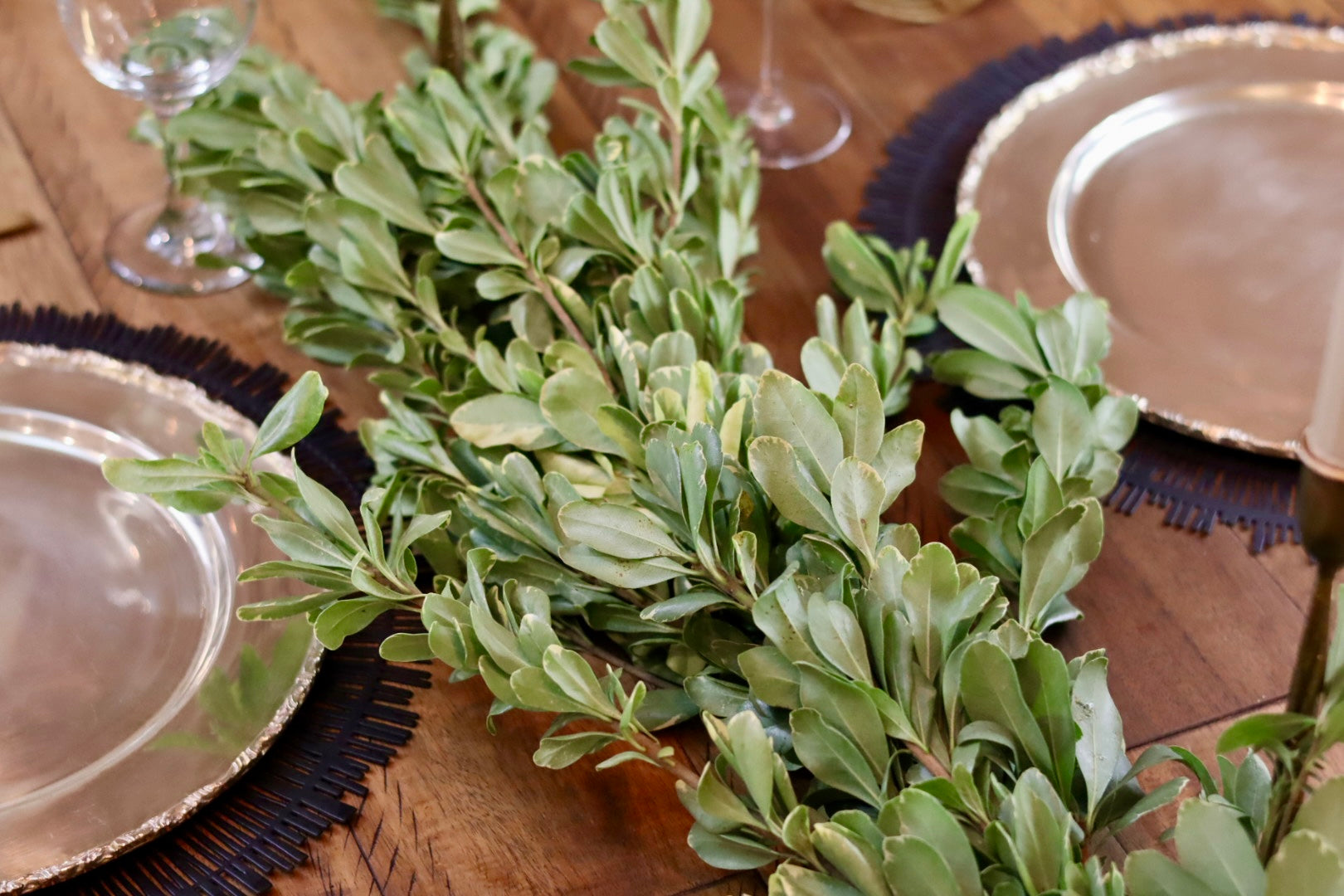 Variegated Pittosporum Garland