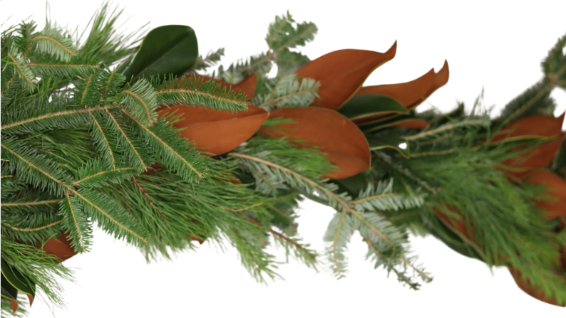 Velvet Pine Christmas Garland