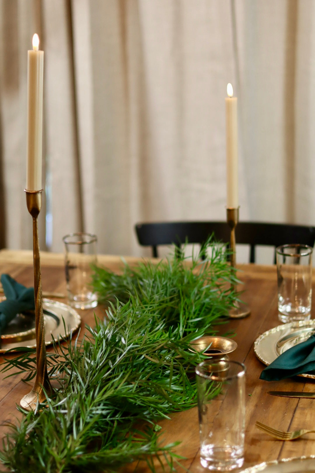 Podocarpus Weeping Garland